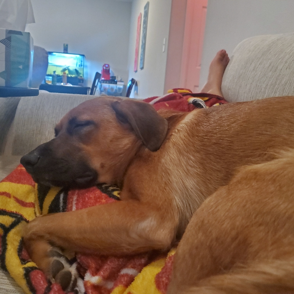 Meet your Posher, Isabela